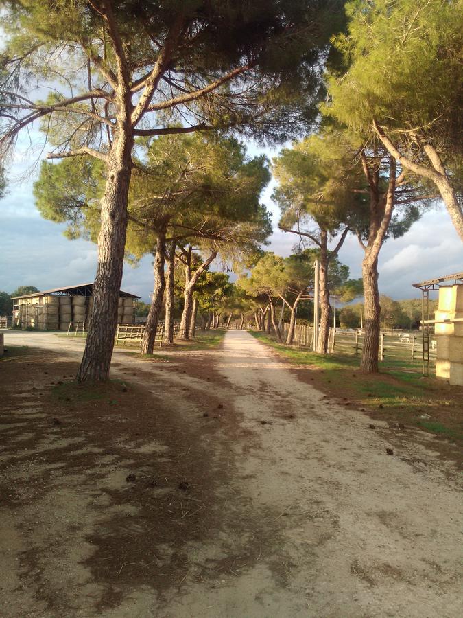 Biocampus La Roccaccia - Universita' Agraria Di Tarquinia Dış mekan fotoğraf