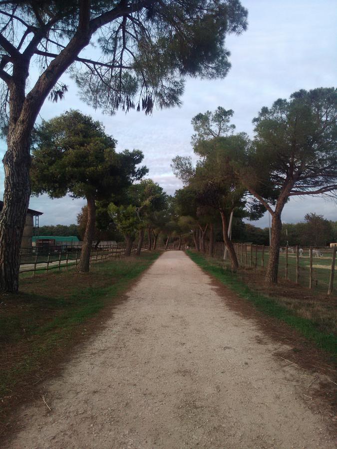 Biocampus La Roccaccia - Universita' Agraria Di Tarquinia Dış mekan fotoğraf