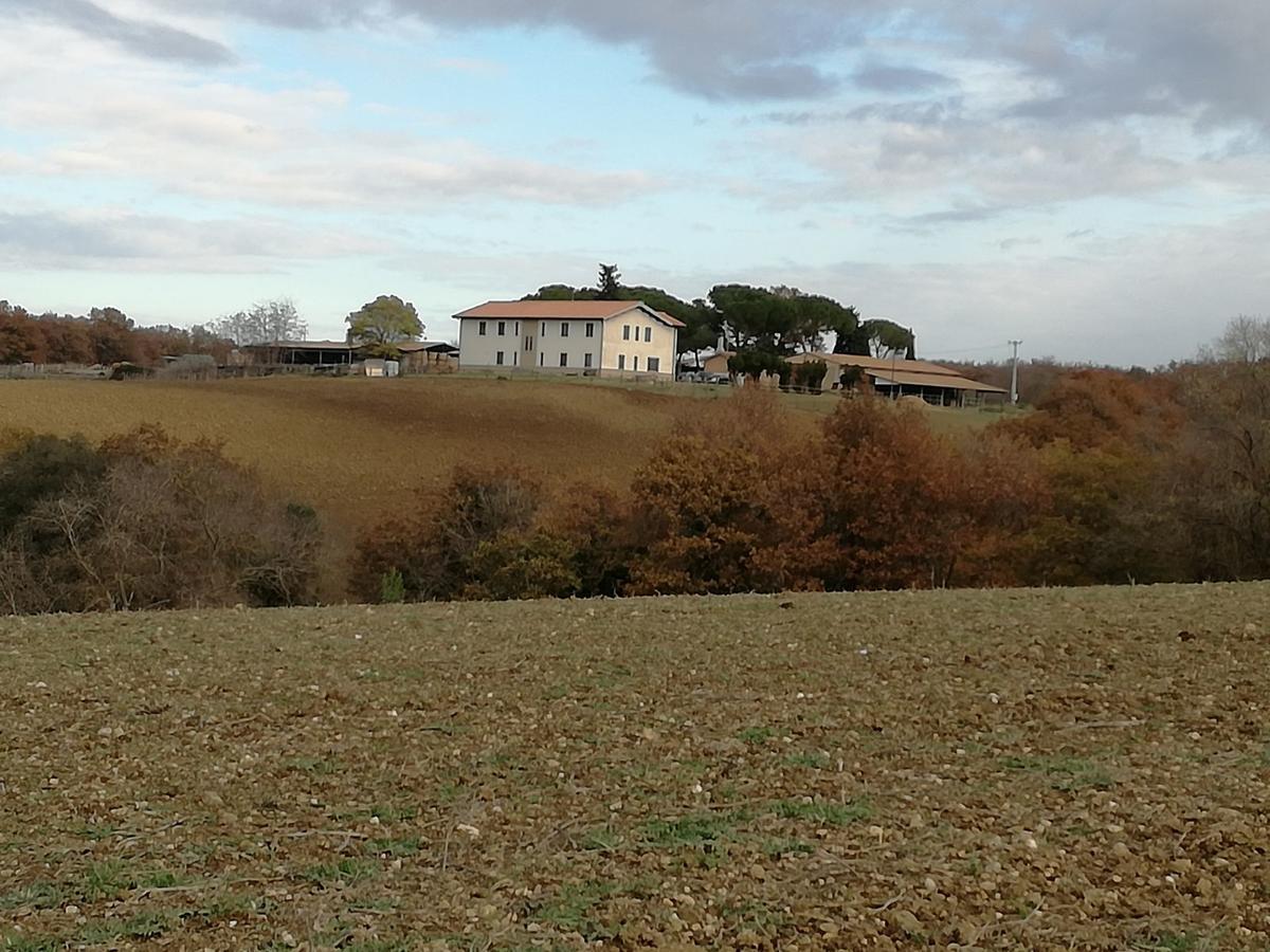 Biocampus La Roccaccia - Universita' Agraria Di Tarquinia Dış mekan fotoğraf