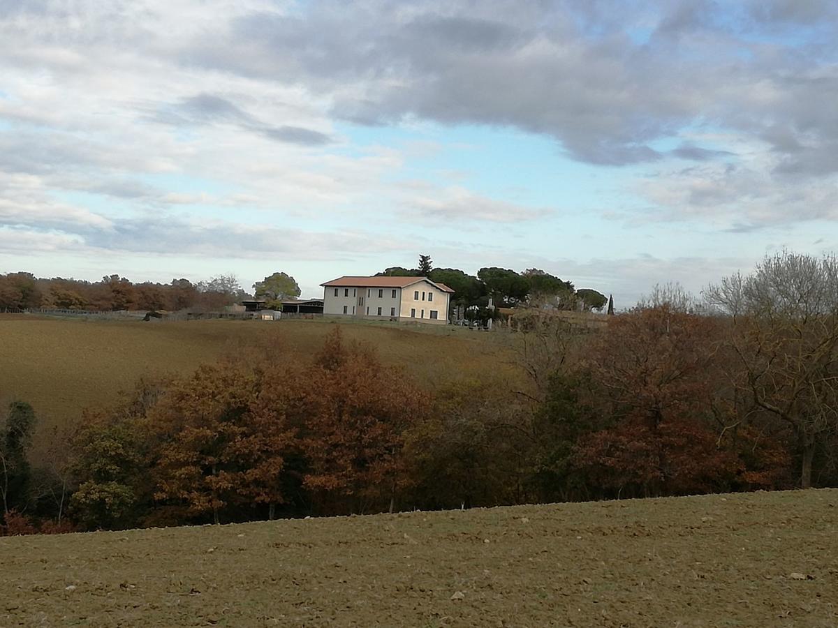 Biocampus La Roccaccia - Universita' Agraria Di Tarquinia Dış mekan fotoğraf